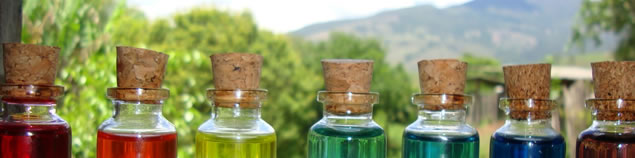 Ecossistema II - 02 (Imagem principal inferior)