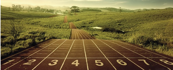 Sumario Executivo (imagem principal)