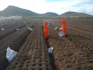 WhatsApp Image 2022-10-07 at 18.37.39 (1)