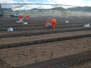 WhatsApp Image 2022-10-07 at 18.37.40