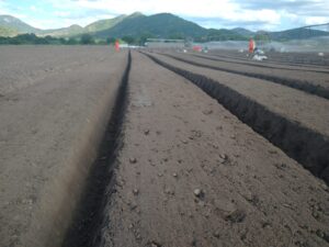 WhatsApp Image 2022-10-07 at 18.37.41