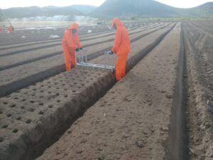 WhatsApp Image 2022-10-07 at 18.37.42 (1)