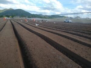 WhatsApp Image 2022-10-07 at 18.39.12 (1)