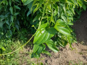 WhatsApp Image 2022-10-07 at 18.48.58