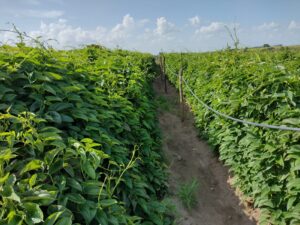 WhatsApp Image 2022-10-07 at 18.49.03