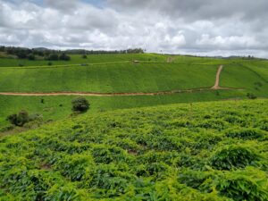 WhatsApp Image 2022-10-07 at 19.14.25