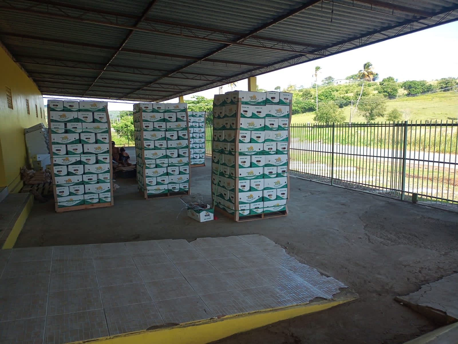 Exportadora de Inhame na Paraíba