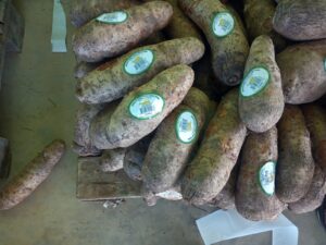 WhatsApp Image 2022-10-07 at 21.04.24