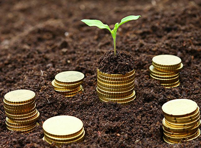 WhatsApp Image 2022-10-08 at 23.36.41